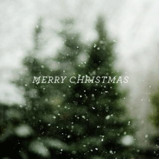 ❆ Christmas Cheer ❆