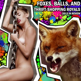 Foxes, Balls, and Thrift-Shopping Royals (2013 in Review)