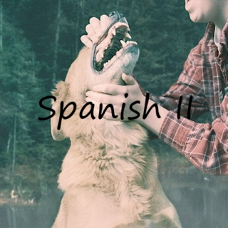 If you don't speak Spanish II