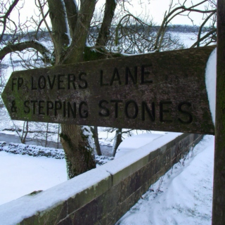 Winter Lovers' Lane