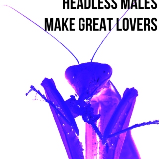 headless males make great lovers