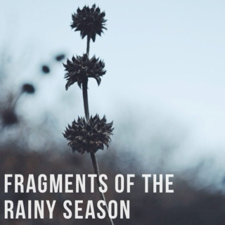 Fragments of the Rainy Season