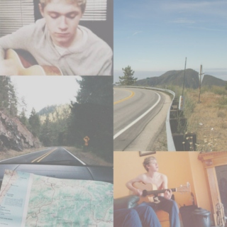 roadtrip with niall (❁˘◡˘❁)
