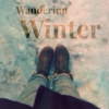 Wandering Winter