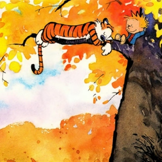 Calvin and Hobbes Fanmix