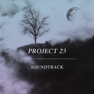 Project 23