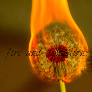fire and dandelions