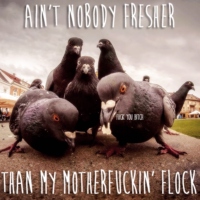 ain't nobody fresher than my motherfuckin' flock