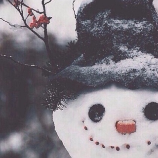 ❆ winter wonderland ❆