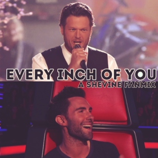every inch of you; a shevine fanmix