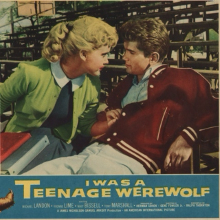 i was a teenage (q)werewolf