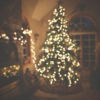 ✖ oh christmas tree ✖
