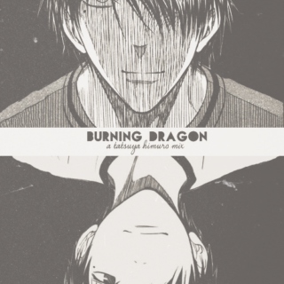 burning dragon