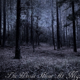 The Woods Alone At Night