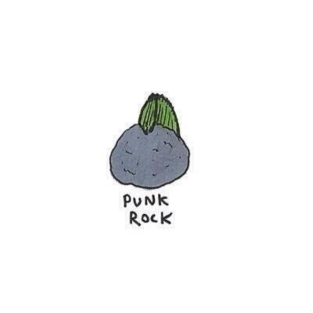 have a very punk rock day