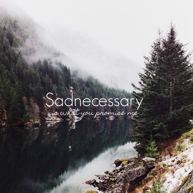 sadnecessary is what you promise me