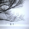 Snowy Walk