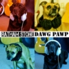 Dawg Pawp ep - Ratham Stone