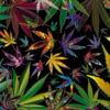 Weed Chillin' : Dub Version