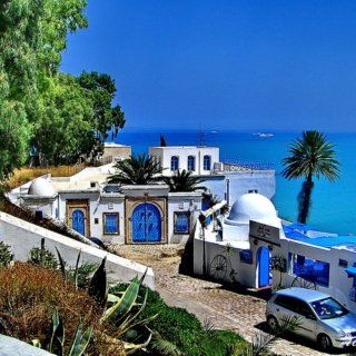 I dream of Tunisia