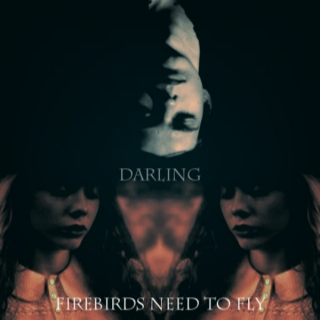 darling, firebirds need to fly