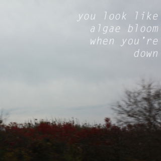you look like algae bloom when you're down
