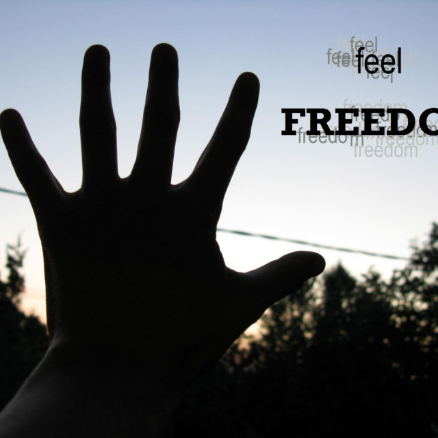 Feel freedom
