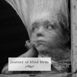 Journey of Blind Birds