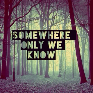 Somewhere only we know- Grey's