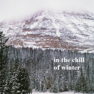 in the chill of winter♡
