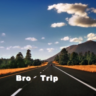 Bro Trip
