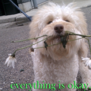 everything is okay.