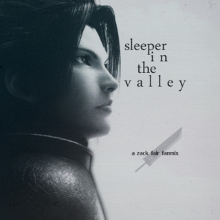 sleeper in the valley