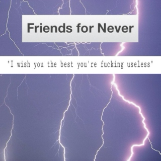 Friends for Never