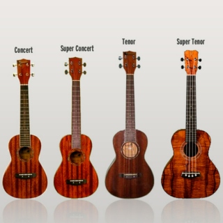 Wish I had a ukulele...