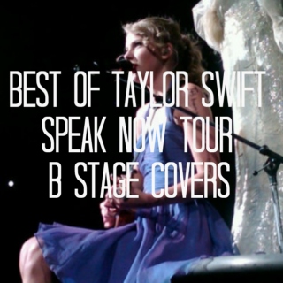 Best of Taylor Swift Speak Now Tour B Stage Covers
