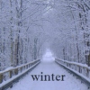 winter (nothing burns like the cold)