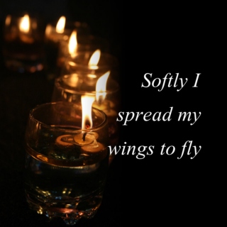 Softly I spread my wings to fly