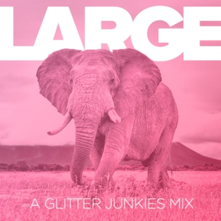 LARGE - a Glitterjunkies Mix