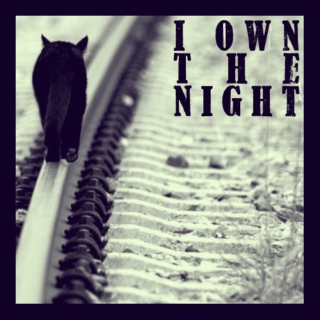 I Own The Night