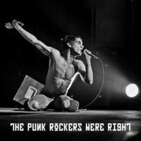 The Punk Rockers Were Right