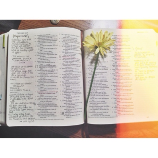 {holiness} is CHRIST in {me}