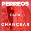 PERREOS PARA CHANCEAR 
