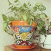 Potted Plant Mix