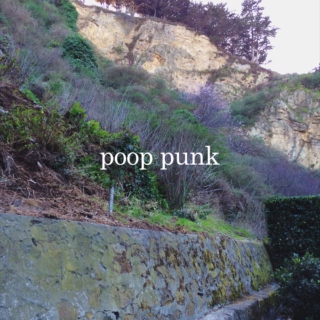poop punk