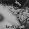 love is stupid