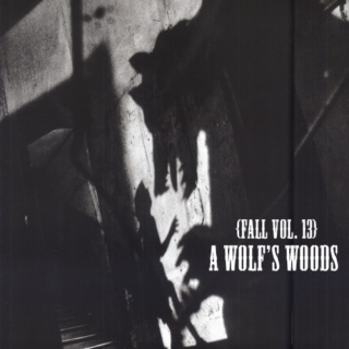 Fall, vol. 13 : A Wolf's Woods