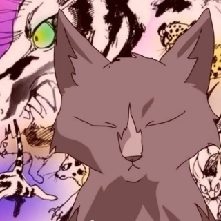 WARRIOR CATS THROWBACK