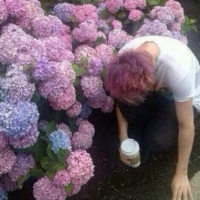 so punk rock that his hair turned pink. 