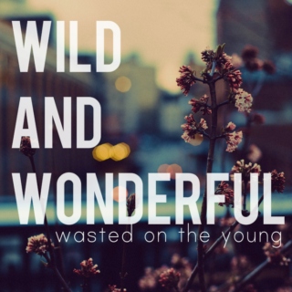 wild and wonderful